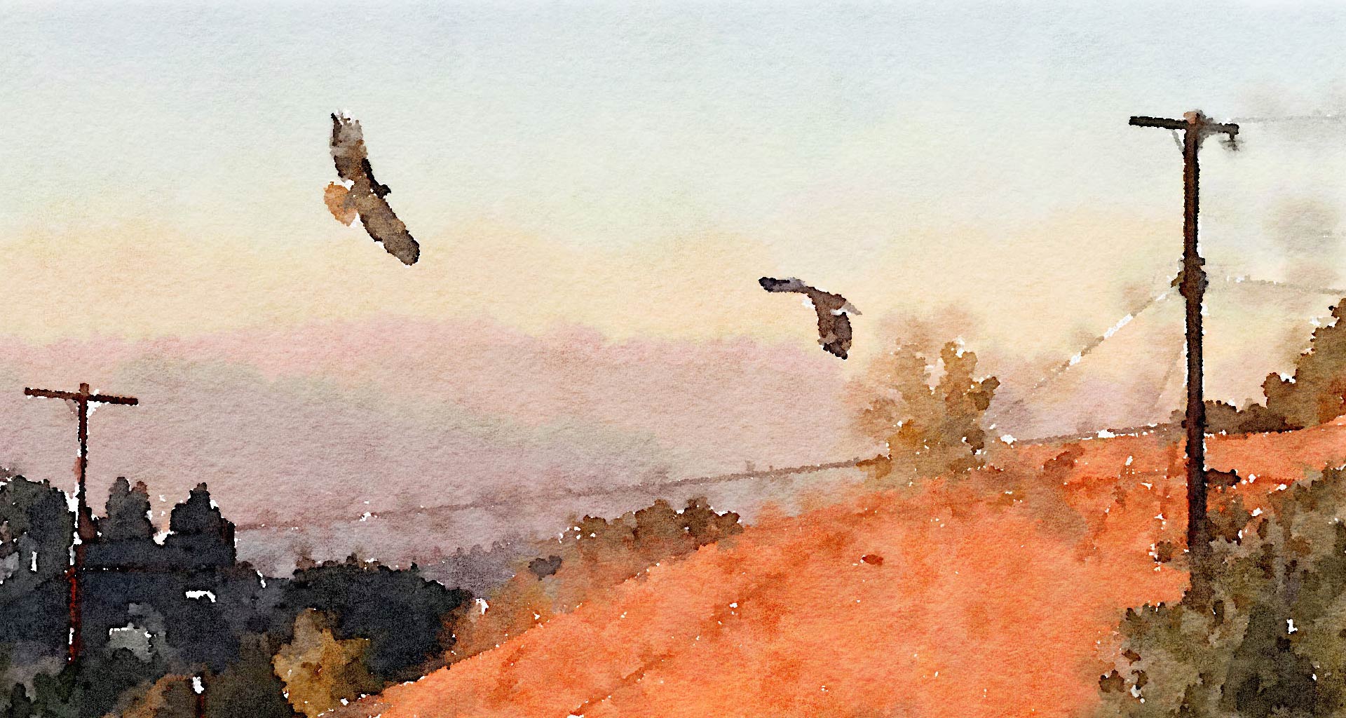 watercolor of hawks soaring over Kite Hill by Dan Blank
